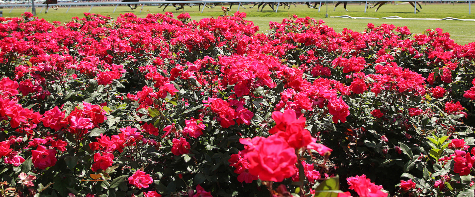 Experience the Best Family-Friendly Celebrations in Monmouth County, New Jersey