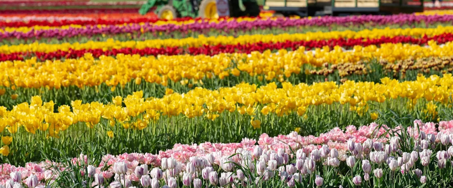 Experience the Vibrant Annual Celebrations in Monmouth County, New Jersey