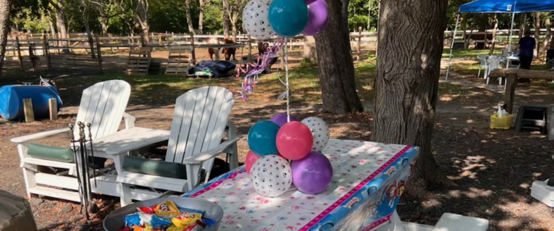 The Ultimate Guide to Celebrating Milestone Birthdays in Monmouth County, New Jersey