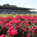 Experience the Best Family-Friendly Celebrations in Monmouth County, New Jersey