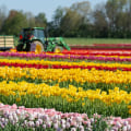 Experience the Vibrant Annual Celebrations in Monmouth County, New Jersey