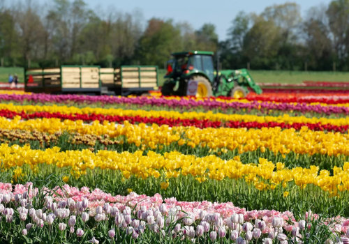 Experience the Vibrant Annual Celebrations in Monmouth County, New Jersey
